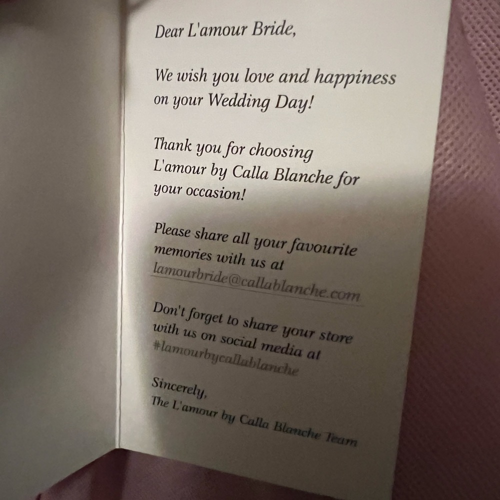 Brand new with tags L’amour wedding dress - Picture 3 of 4